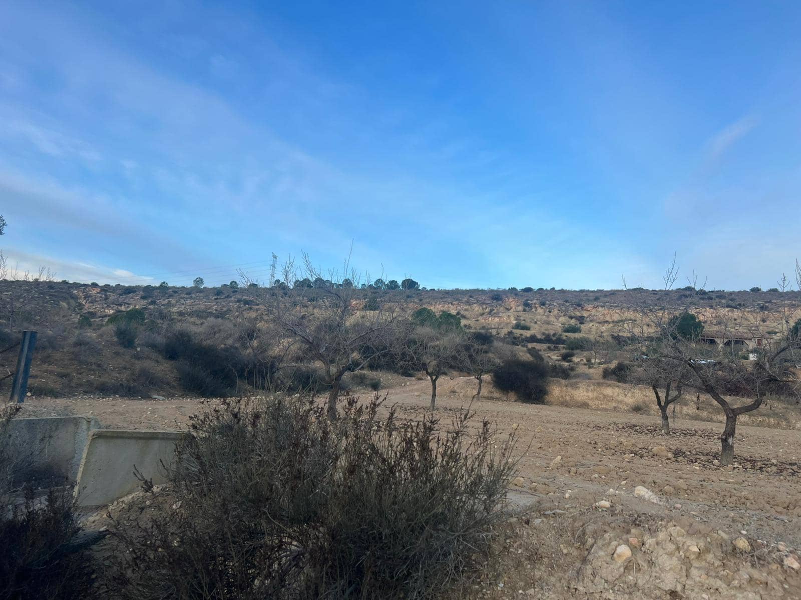 Undeveloped Land for sale in Albudeite - € 159,900 (Ref: 9823237)