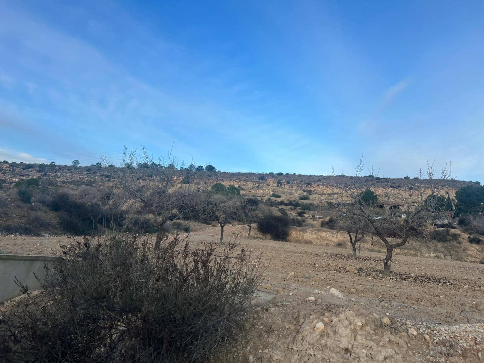 Undeveloped Land for sale in Albudeite - € 159,900 (Ref: 9823237)