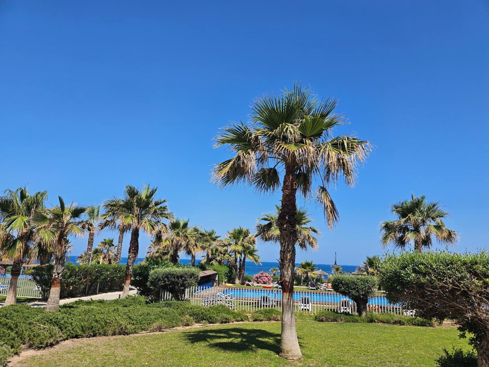 3 sypialnia Penthouse na sprzedaż w Torrevieja z basenem - 795 000 € (Ref: 9823238)