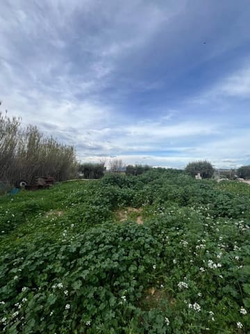 2 soveværelse Virksomhed til salg i Sangonera La Verde, Murcia by med garage - € 390.000 (Ref: 9825495)