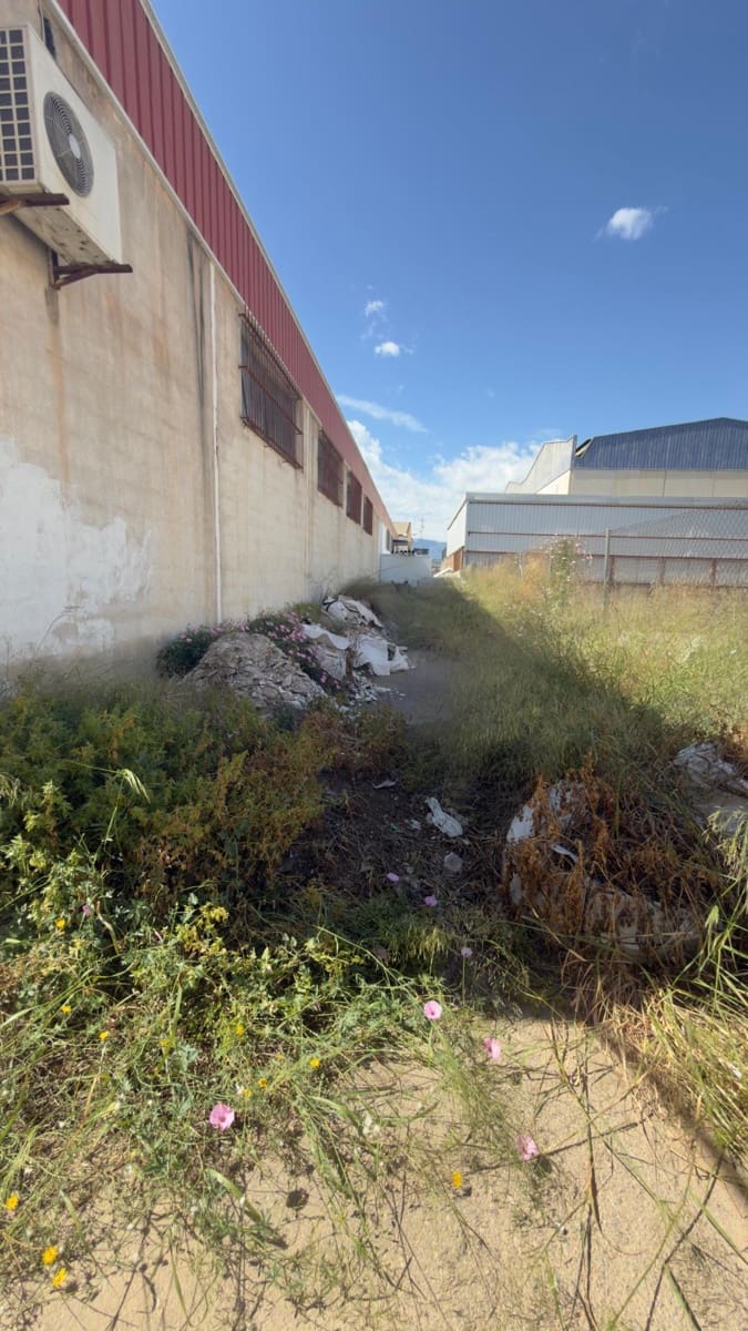Negocio en Alcantarilla en venta - 560.000 € (Ref: 9836597)