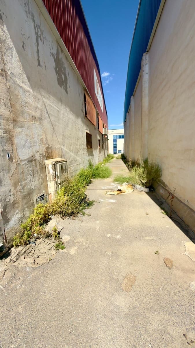 Negocio en Alcantarilla en venta - 560.000 € (Ref: 9836597)