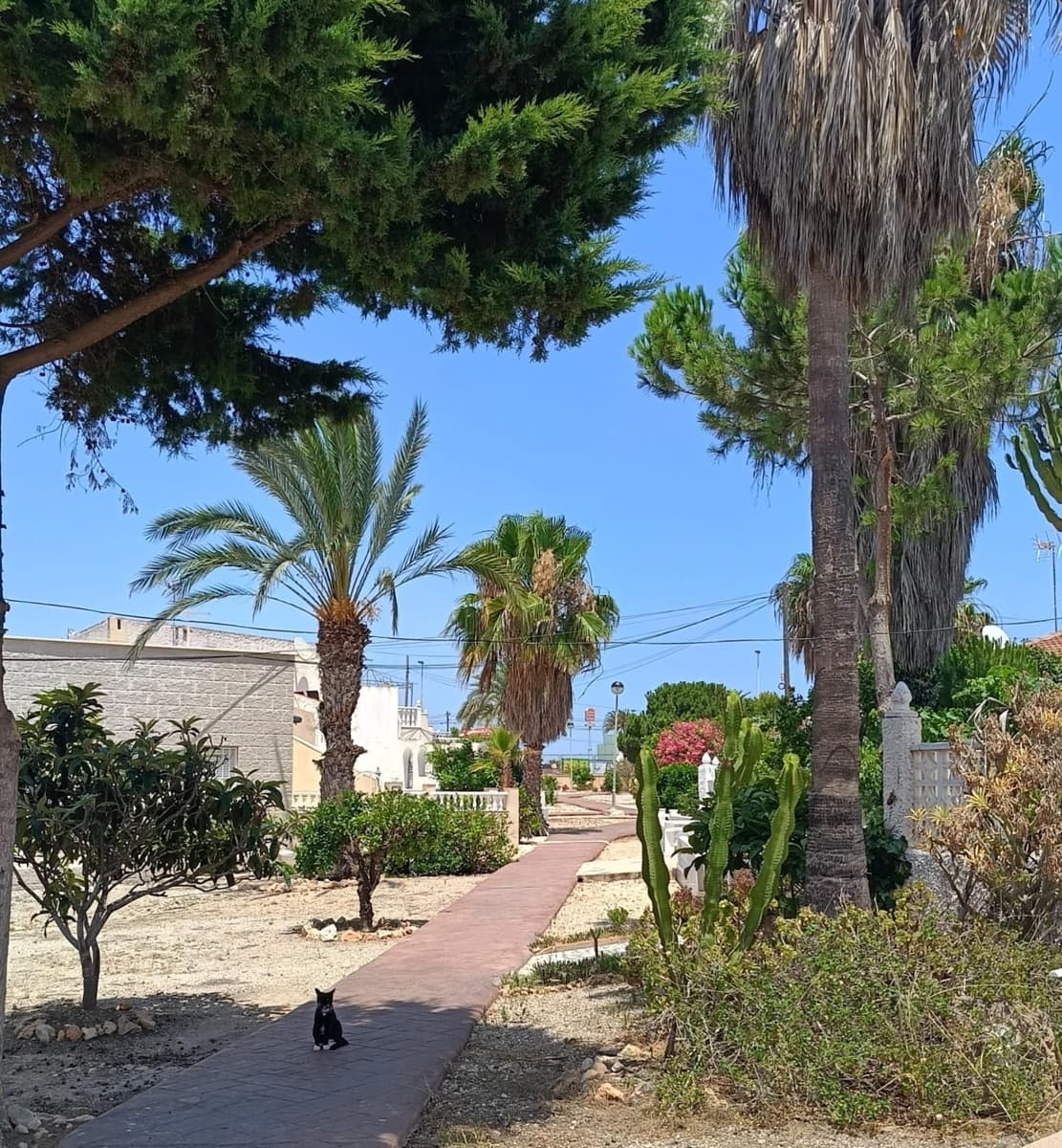 2 sypialnia Dom na sprzedaż w Torrevieja z garażem - 135 000 € (Ref: 9509760)