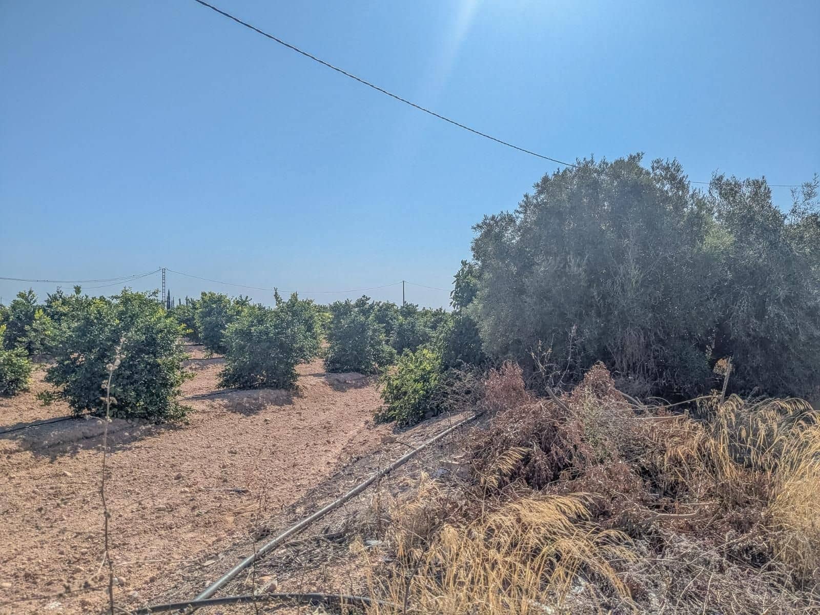 2 camera da letto Finca/Casa di Campagna in vendita in Dolores De Pacheco con garage - 99.000 € (Rif: 9509771)