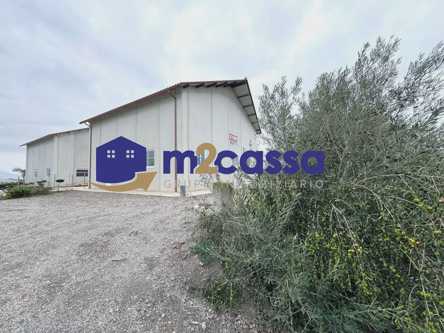 Komercyjne na sprzedaż w Lorca z garażem - 400 000 € (Ref: 10116278)
