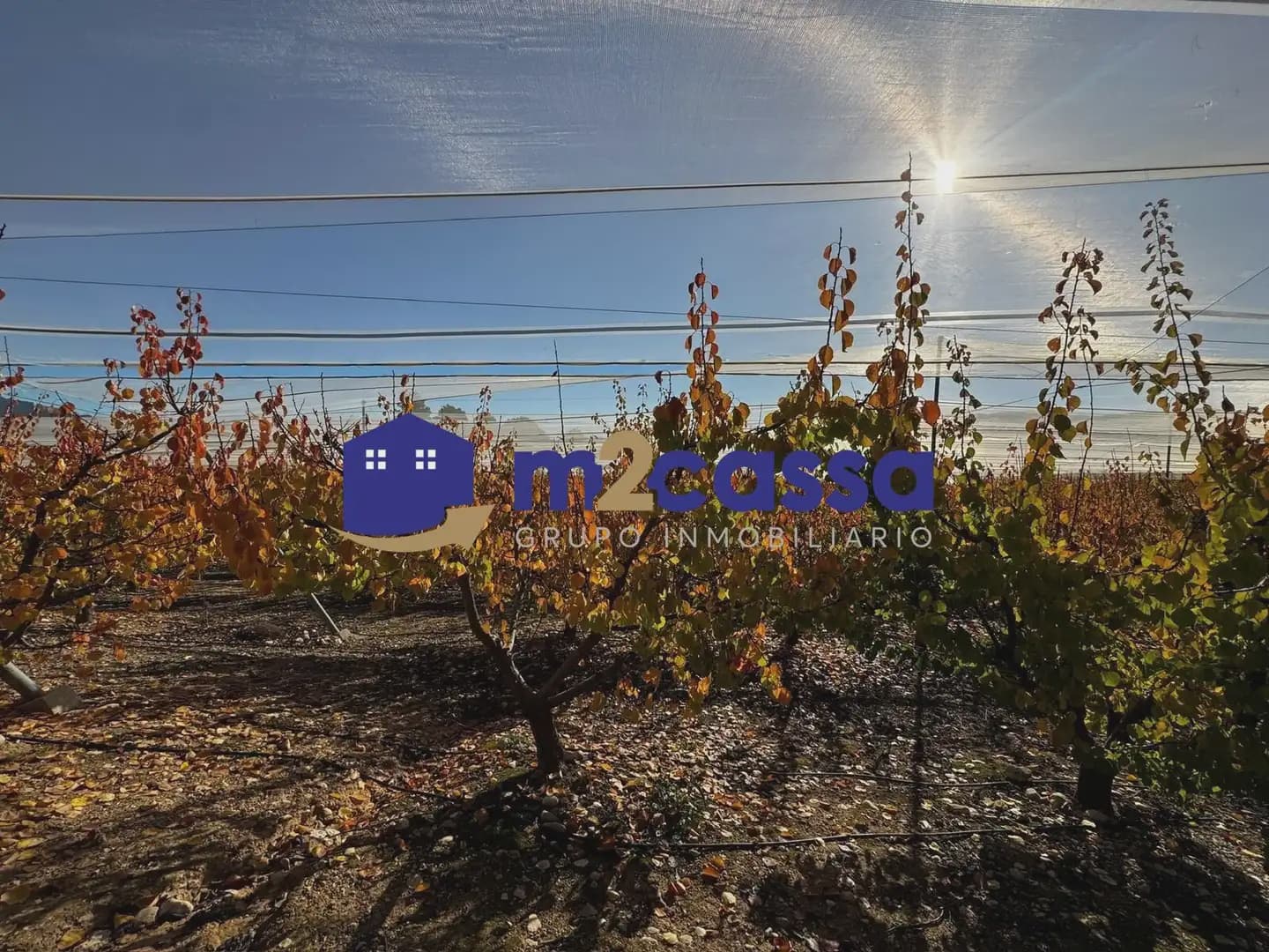 2 sovrum Finca/Hus på landet till salu i Aledo med garage - 300 000 € (Ref: 10116333)
