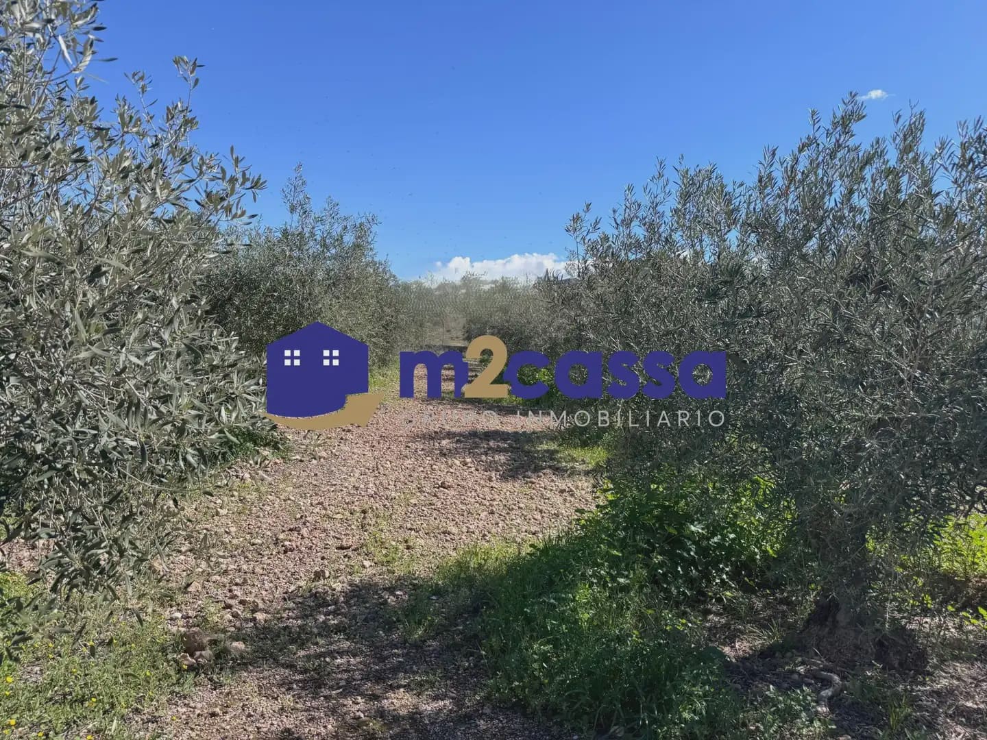 4 sovrum Finca/Hus på landet till salu i Purias med garage - 180 000 € (Ref: 10116337)