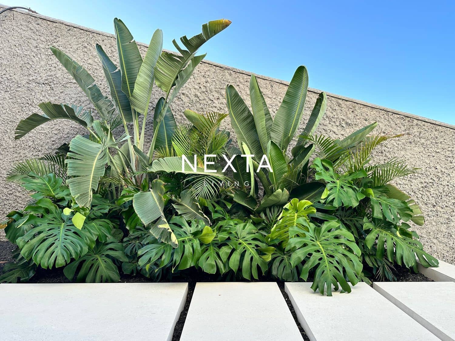 6 slaapkamer Villa te koop in Guia de Isora met zwembad garage - € 6.400.000 (Ref: 9786004)