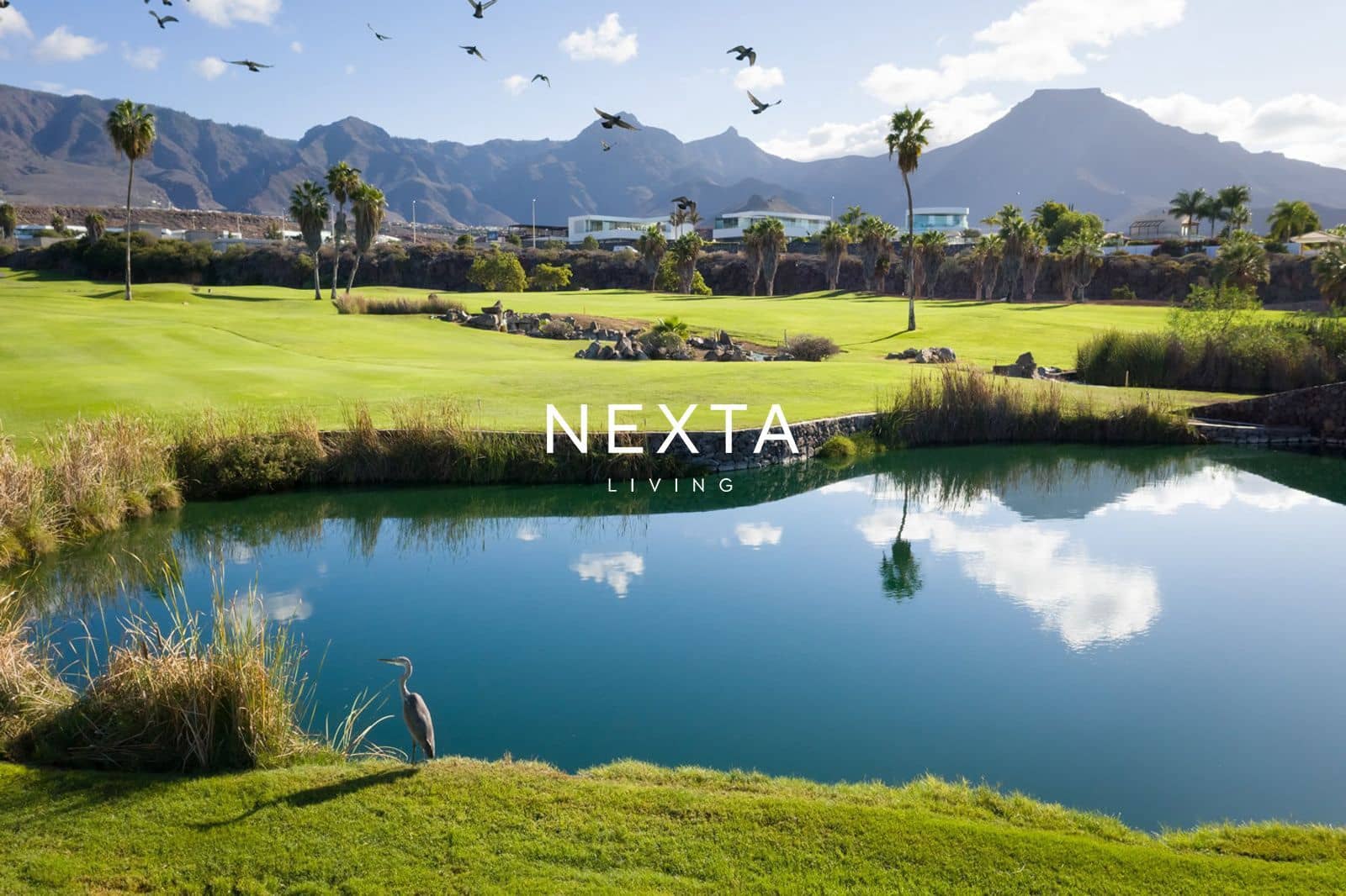 6 bedroom Villa for sale in Costa Adeje with pool garage - € 5,950,000 (Ref: 9867956)