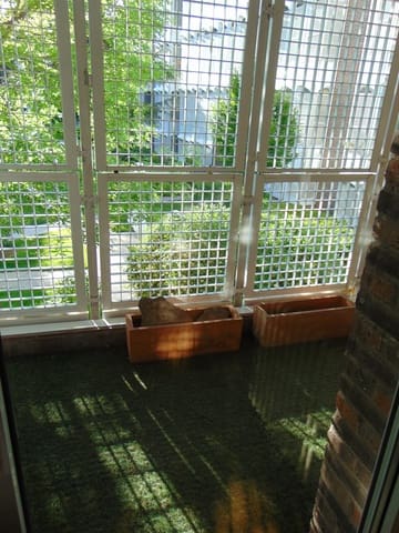 4 Zimmer Wohnung zu verkaufen in Nueva España, Madrid Stadt mit Pool Garage - 1.650.000 € (Ref: 9637876)