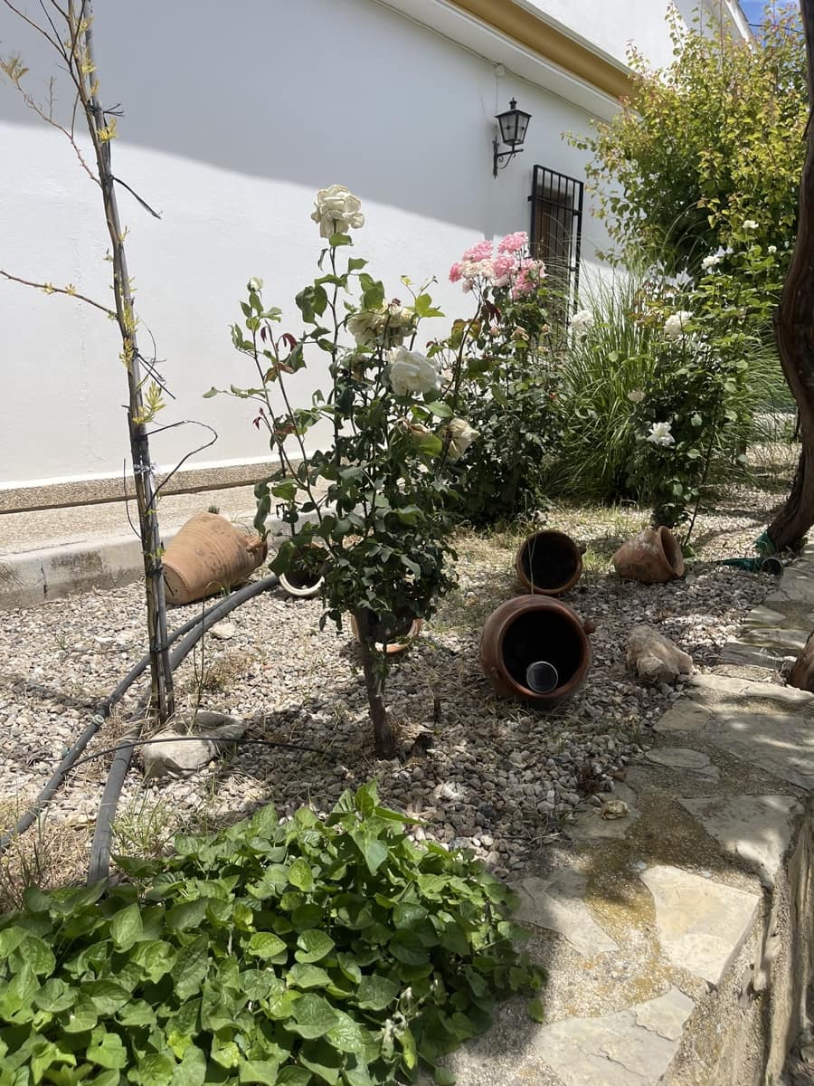 5 chambre Villa/Maison à vendre à Quesada avec piscine garage - 280 000 € (Ref: 9487975)