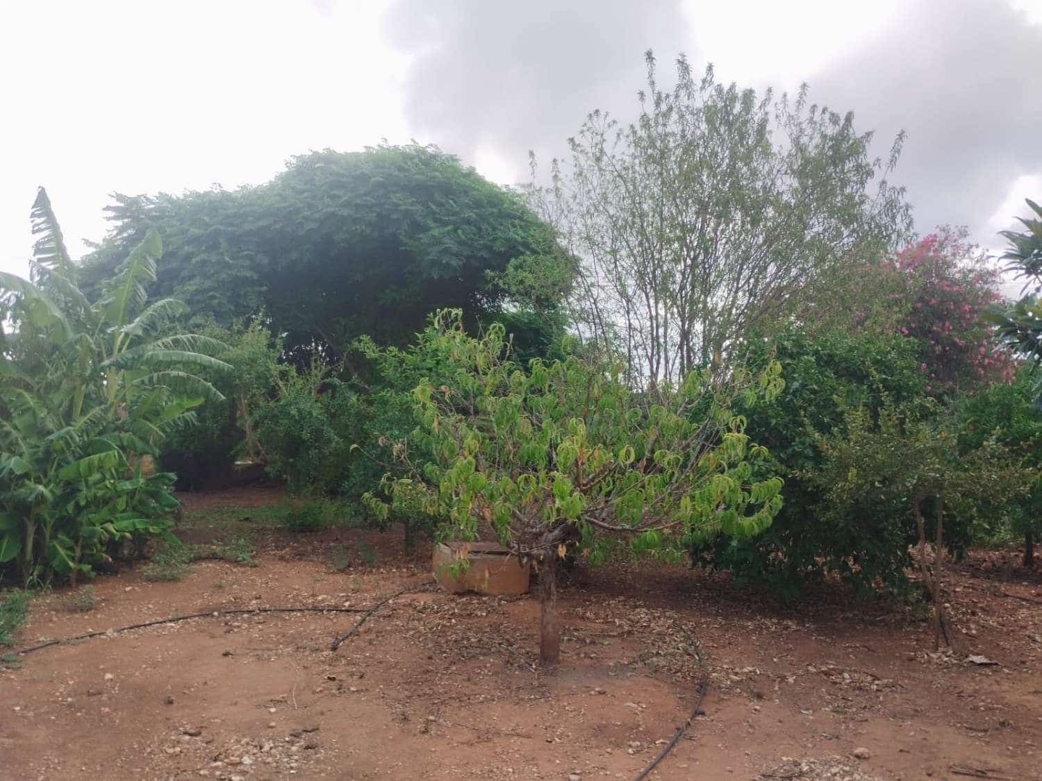 2 slaapkamer Finca/Landhuis te koop in Denia - € 290.000 (Ref: 10011097)
