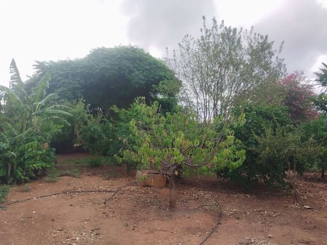 2 slaapkamer Finca/Landhuis te koop in Dénia - € 290.000 (Ref: 10011097)