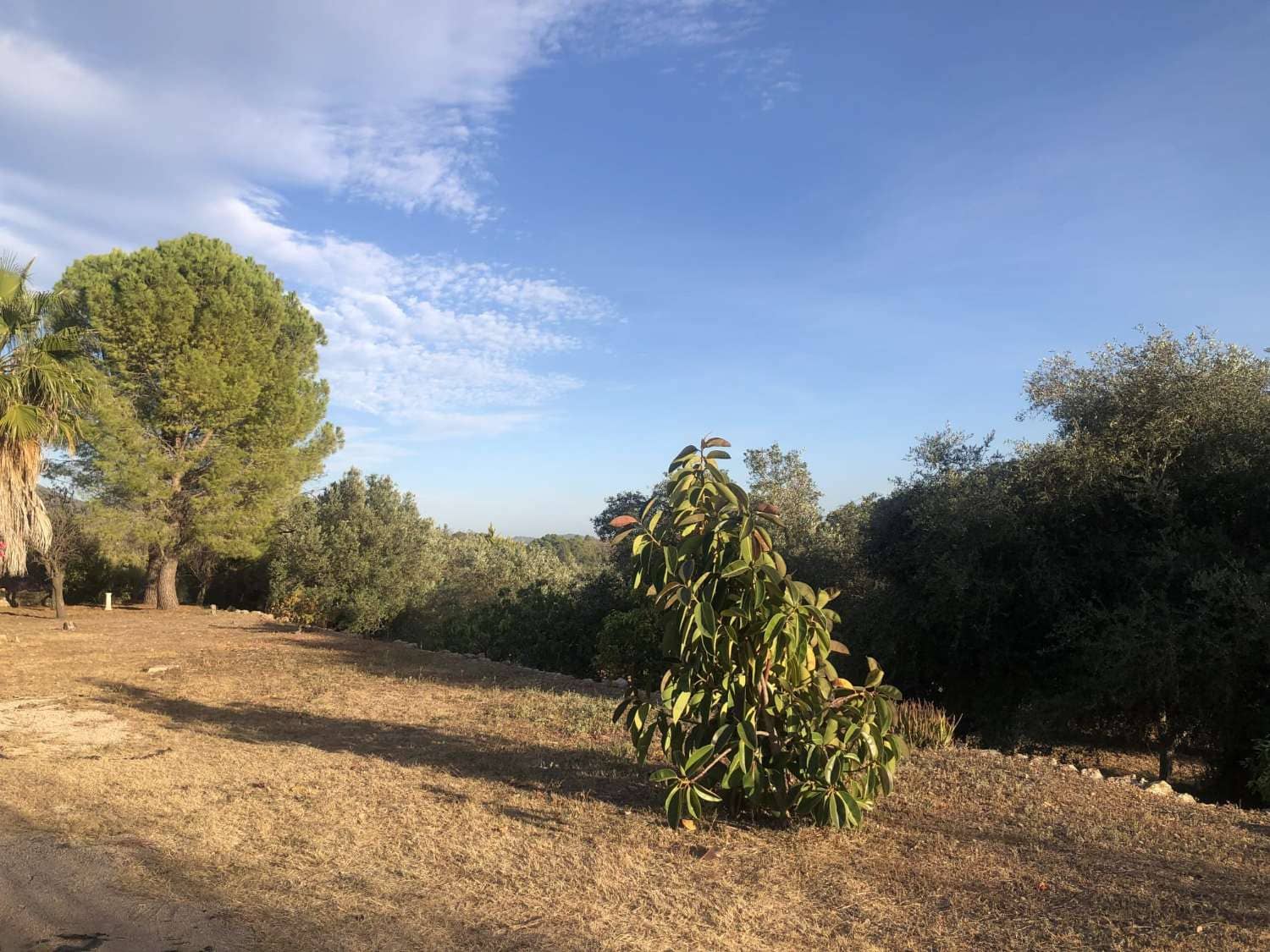 3 bedroom Finca/Country House for sale in Parcent - € 495,000 (Ref: 9528098)