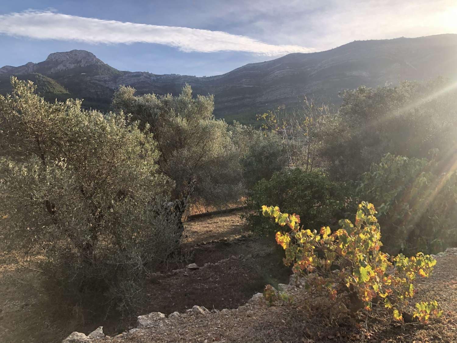 3 bedroom Finca/Country House for sale in Parcent - € 495,000 (Ref: 9528098)