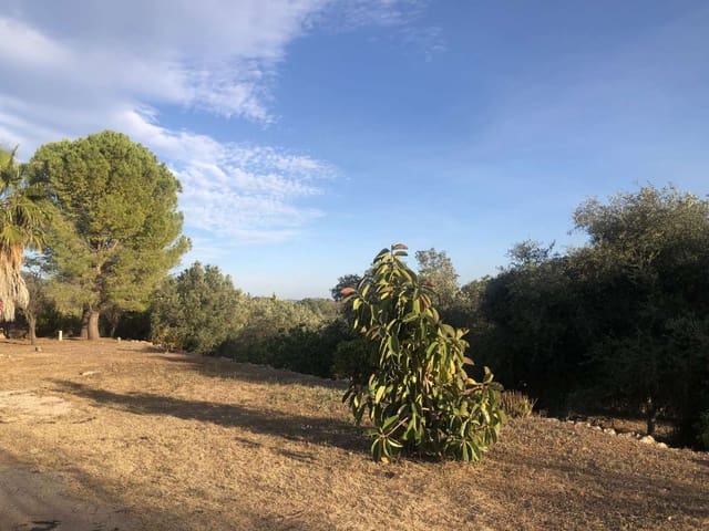 3 slaapkamer Finca/Landhuis te koop in Parcent - € 495.000 (Ref: 9528098)