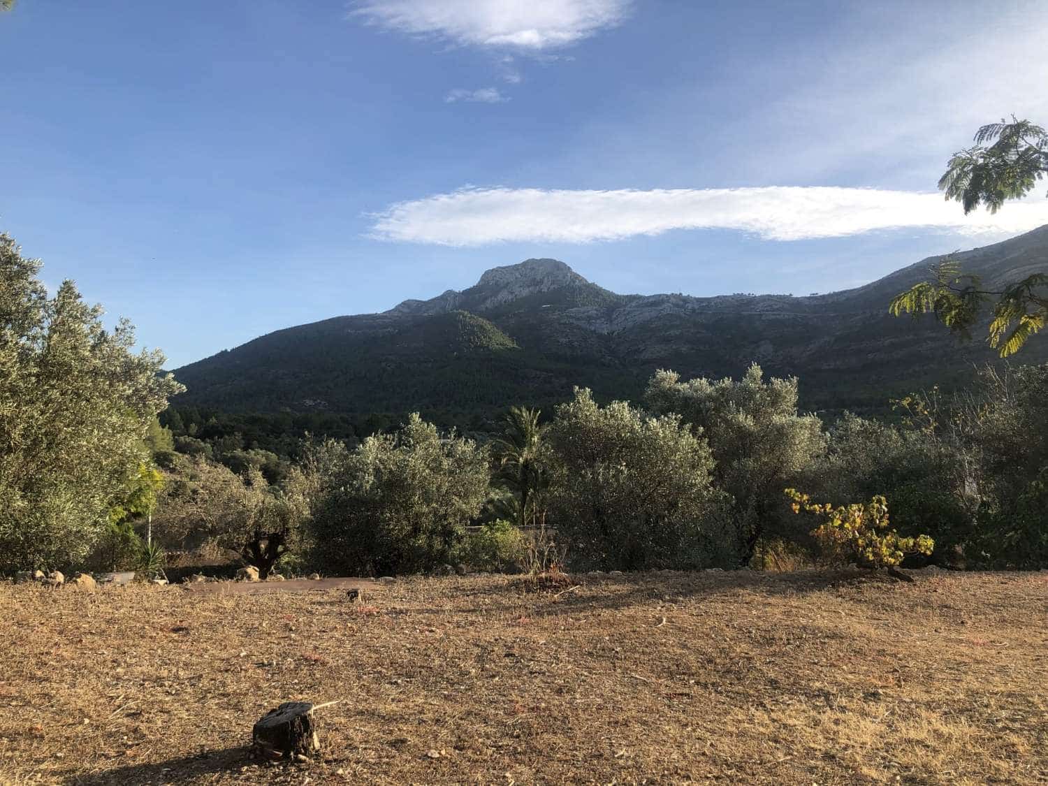 3 bedroom Finca/Country House for sale in Parcent - € 495,000 (Ref: 9528098)