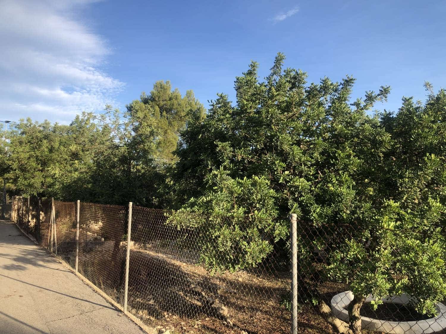 3 bedroom Finca/Country House for sale in Parcent - € 495,000 (Ref: 9528098)