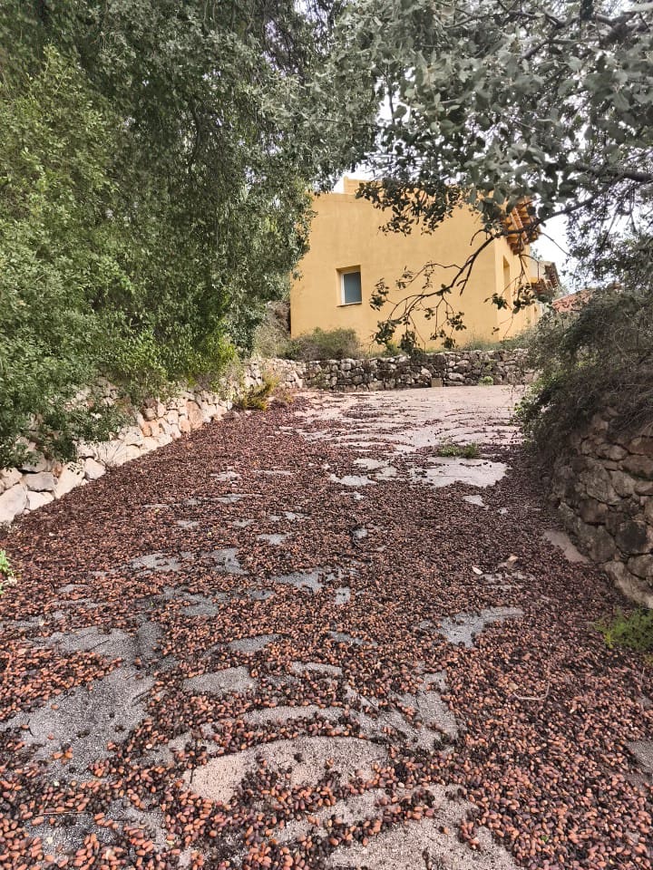 1 makuuhuone Omakotitalo myytävänä paikassa Tarbena - 99 000 € (Ref: 9540915)