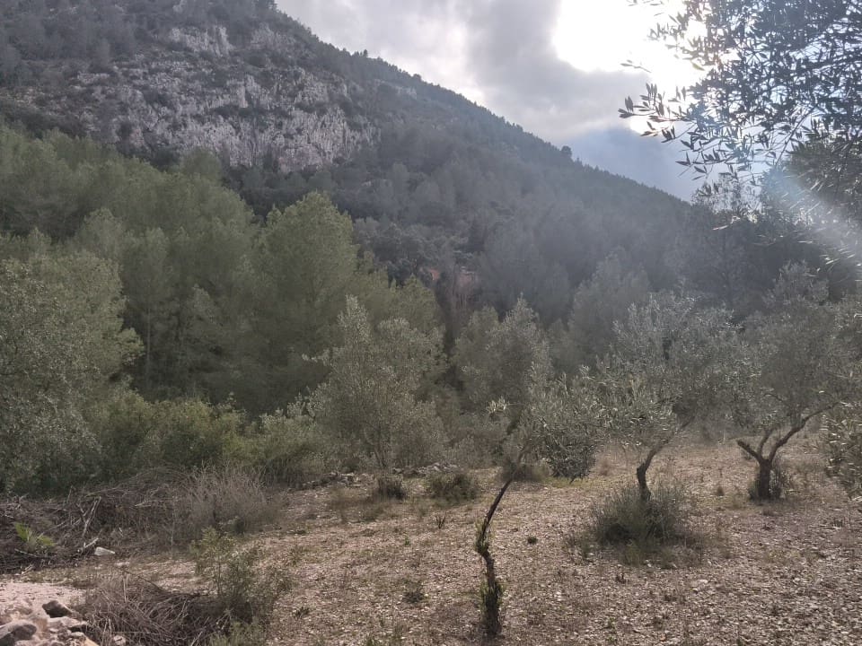 4 soveværelse Byhus til salg i Castell de Castells - € 150.000 (Ref: 9582461)