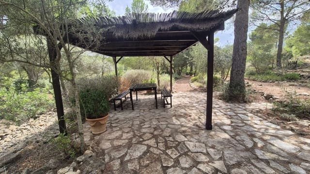 1 Zimmer Finca/Landgut zu verkaufen in Llíber - 245.000 € (Ref: 9602587)