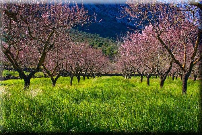 Finca/Casa Rural en Llíber en venta - 55.000 € (Ref: 9658469)