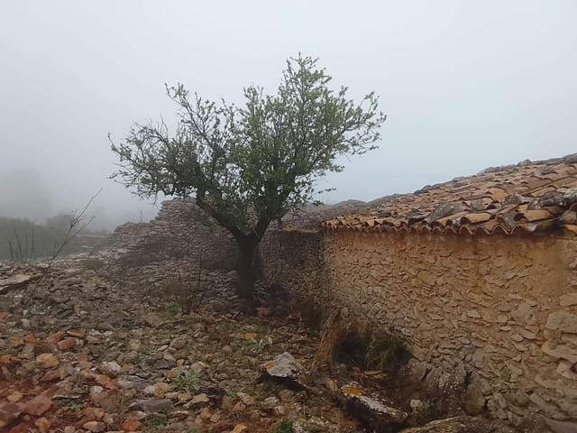 Finca/Casa Rural en Llíber en venta - 55.000 € (Ref: 9658469)
