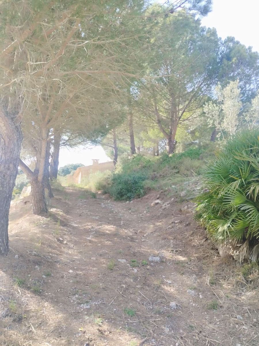 Finca/Landehus til salg i Tarbena - € 58.000 (Ref: 9804206)