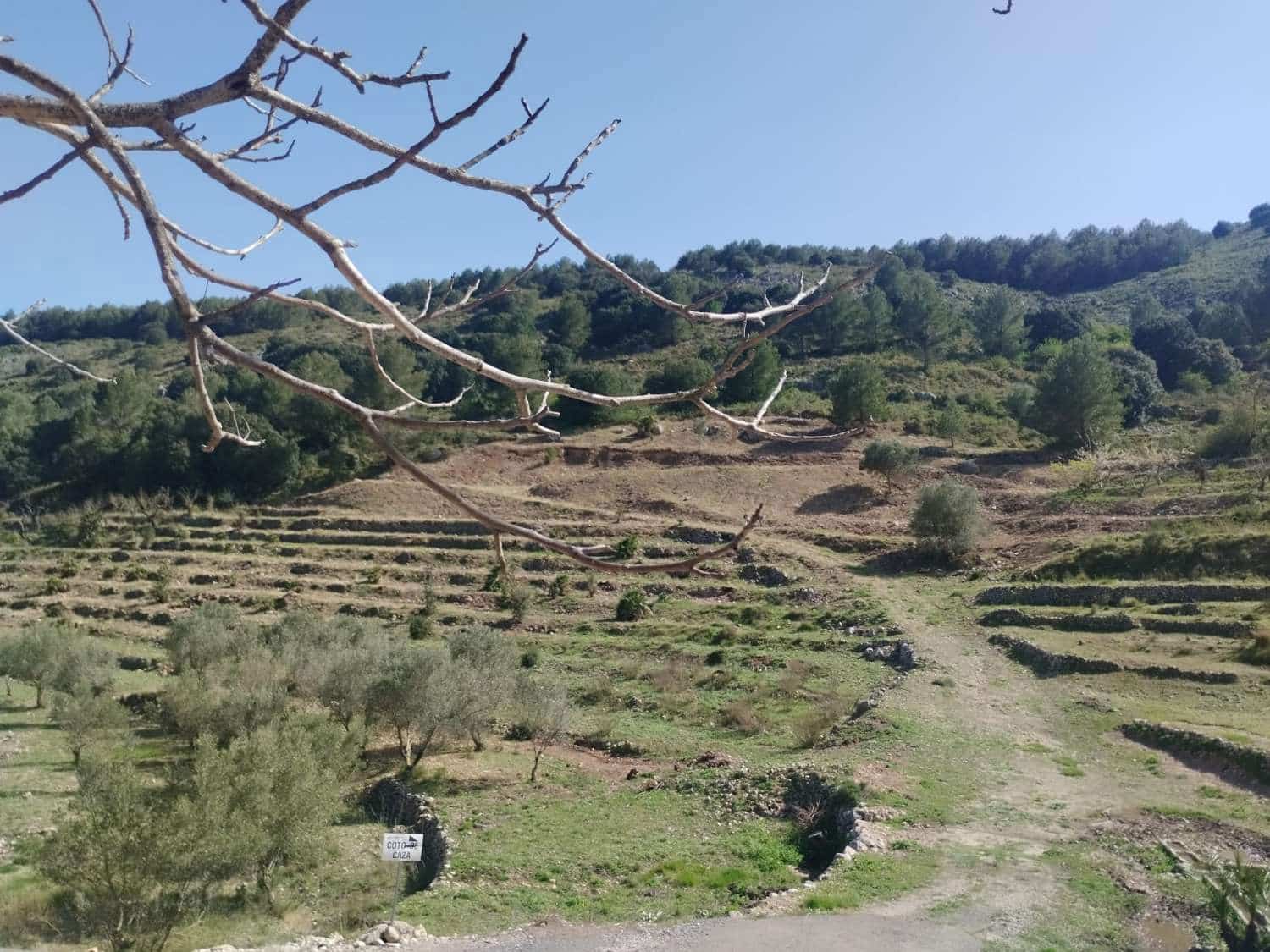 Finca/Landehus til salg i Tarbena - € 58.000 (Ref: 9804206)