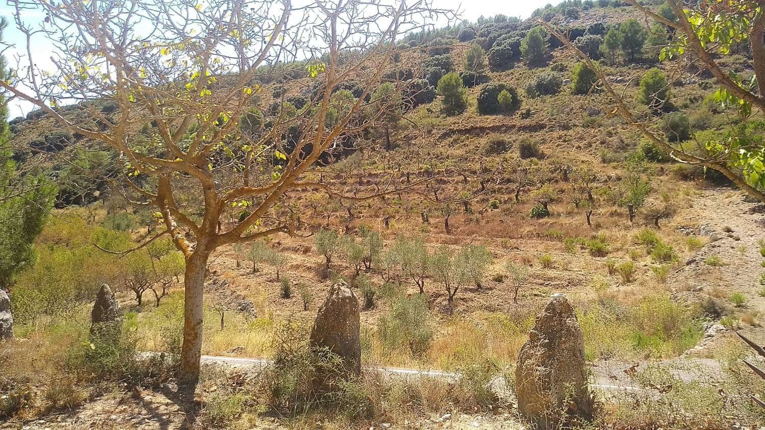 Finca/Landehus til salg i Tarbena - € 58.000 (Ref: 9804206)