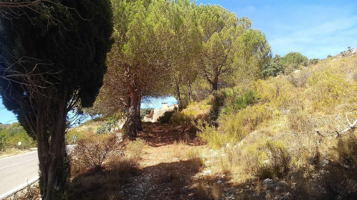 Finca/Landehus til salg i Tarbena - € 58.000 (Ref: 9804206)