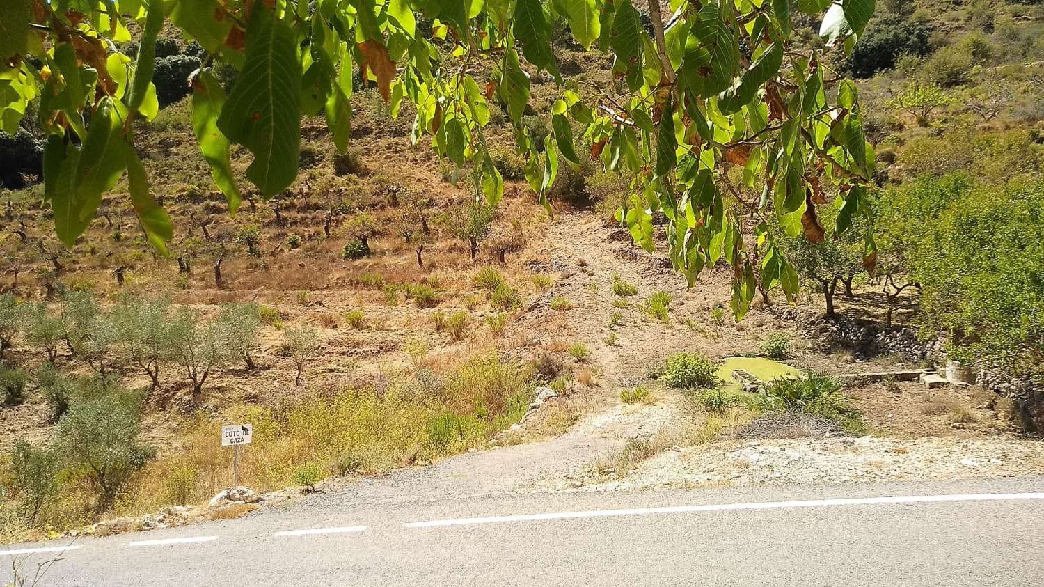 Finca/Landehus til salg i Tarbena - € 58.000 (Ref: 9804206)