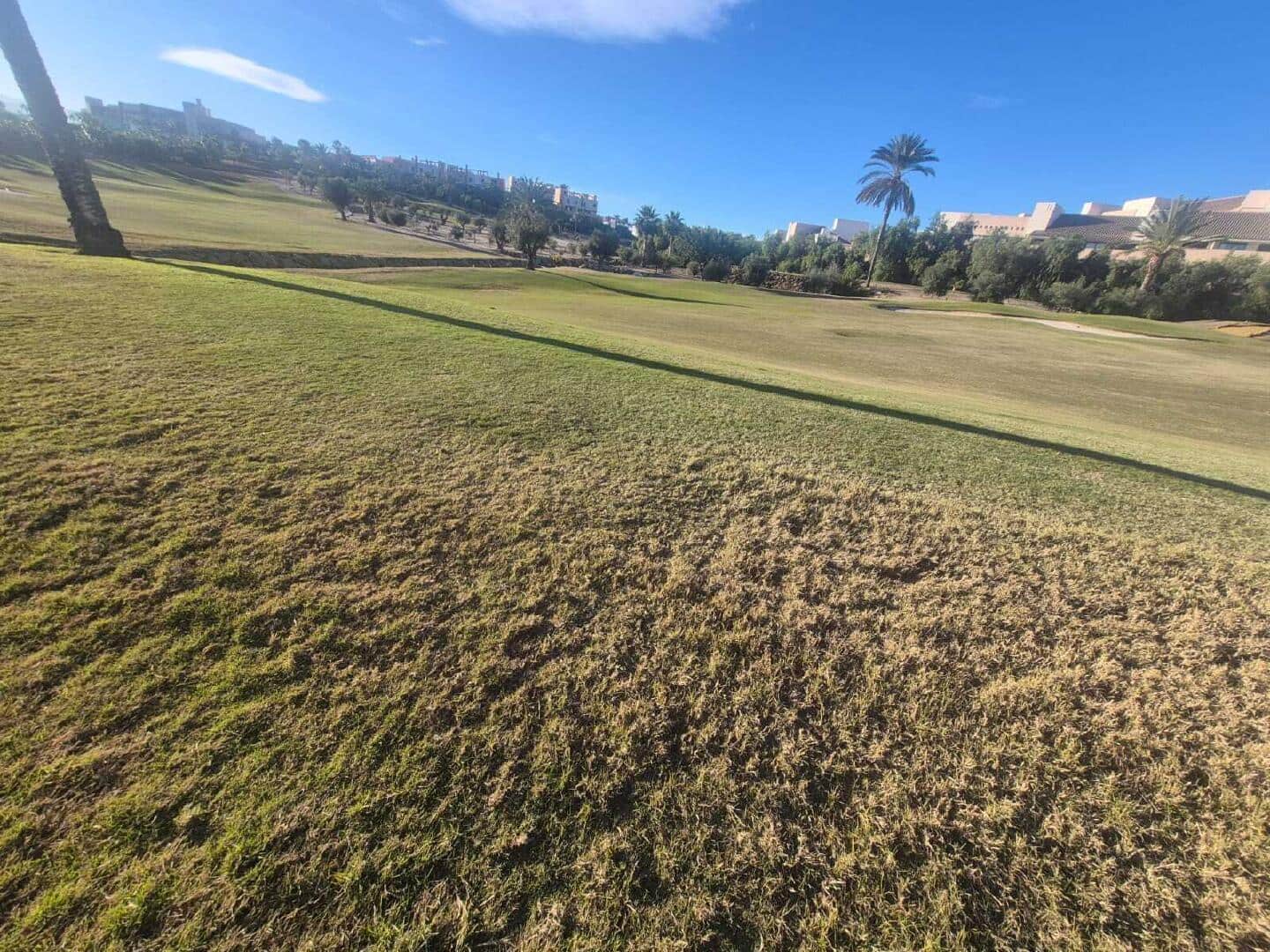 2 soveværelse Træhus til salg i Vera - € 182.500 (Ref: 9521621)