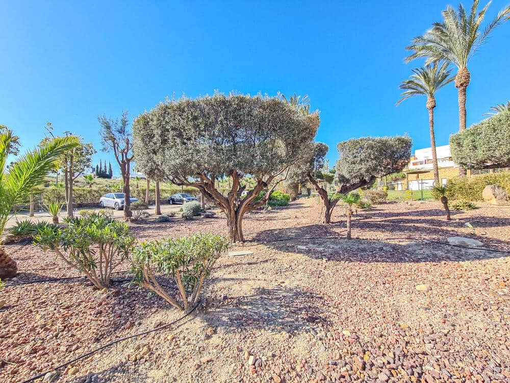 2 bedroom Wooden Home for sale in Vera - € 180,000 (Ref: 9521622)