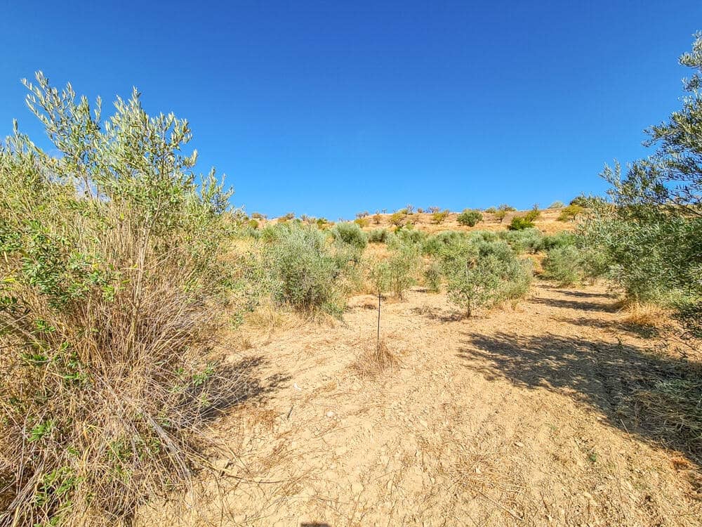 3 sovrum Hus till salu i Lubrin - 325 000 € (Ref: 9638906)