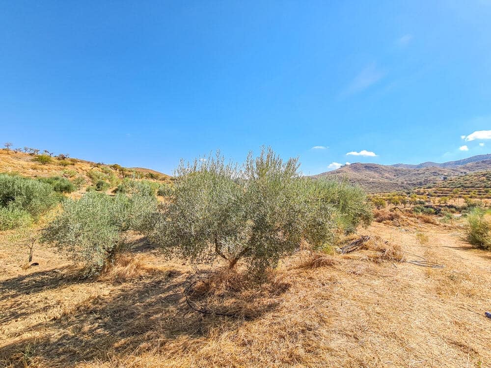 3 sovrum Hus till salu i Lubrin - 325 000 € (Ref: 9638906)