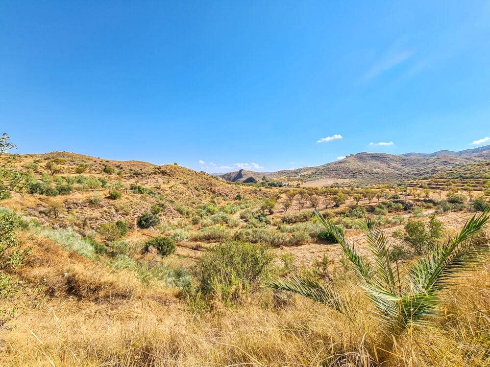 3 sovrum Hus till salu i Lubrin - 325 000 € (Ref: 9638906)