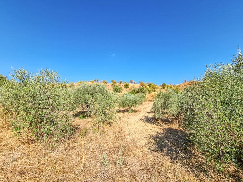 3 sovrum Hus till salu i Lubrin - 325 000 € (Ref: 9638906)