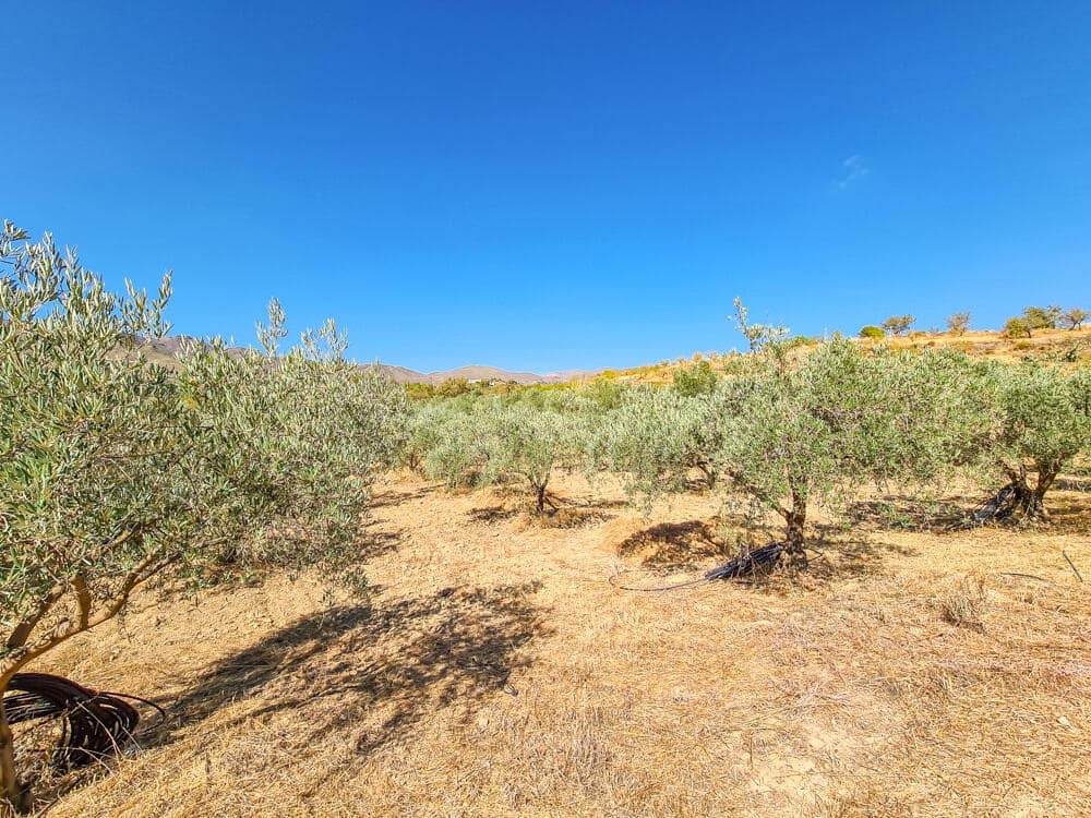 3 sovrum Hus till salu i Lubrin - 325 000 € (Ref: 9638906)