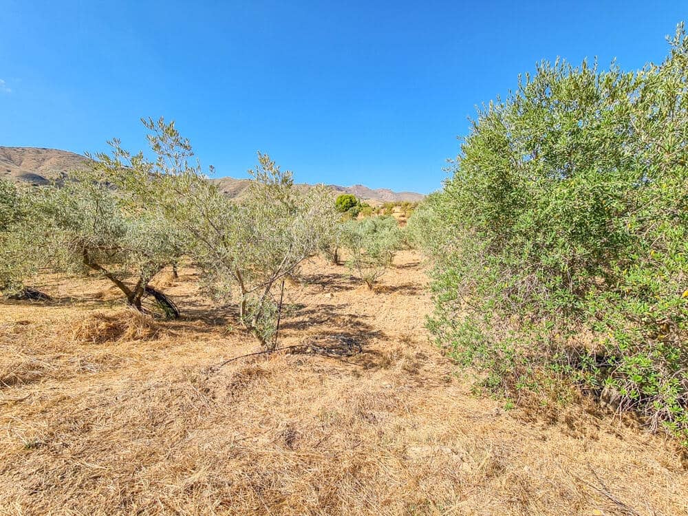 3 sovrum Hus till salu i Lubrin - 325 000 € (Ref: 9638906)