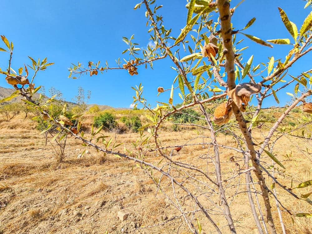 3 sovrum Hus till salu i Lubrin - 325 000 € (Ref: 9638906)