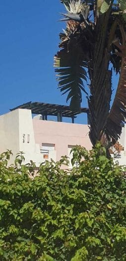 2 bedroom Penthouse for sale in Vera - € 268,000 (Ref: 9747018)