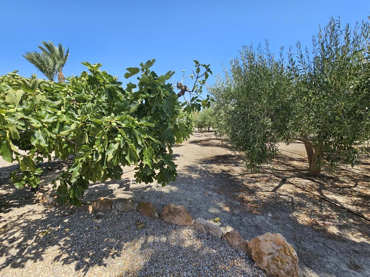 3 slaapkamer Finca/Landhuis te koop in Mojacar met zwembad garage - € 398.000 (Ref: 9747034)