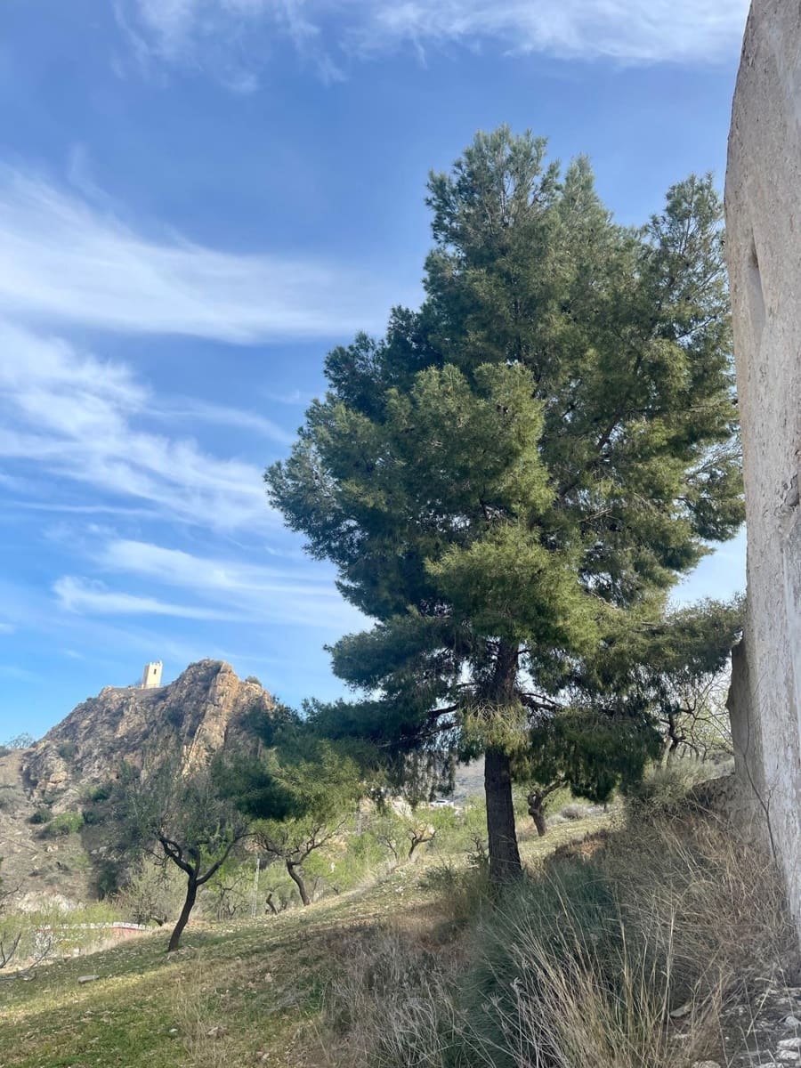 Finca/Casa di Campagna in vendita in Lubrin - 89.000 € (Rif: 9751944)