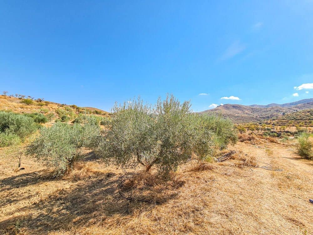 3 soveværelse Finca/Landehus til salg i Lubrin - € 325.000 (Ref: 9751951)