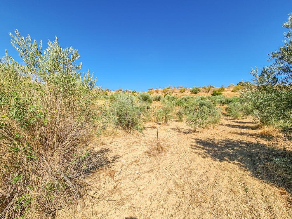 3 soveværelse Finca/Landehus til salg i Lubrin - € 325.000 (Ref: 9751951)