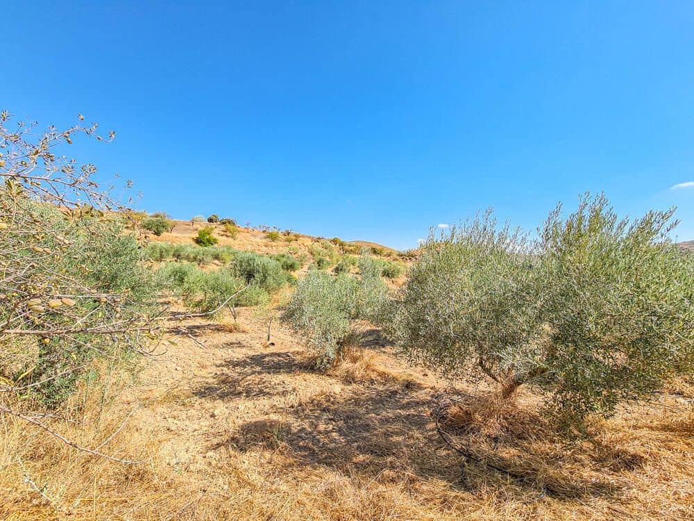 3 soveværelse Finca/Landehus til salg i Lubrin - € 325.000 (Ref: 9751951)