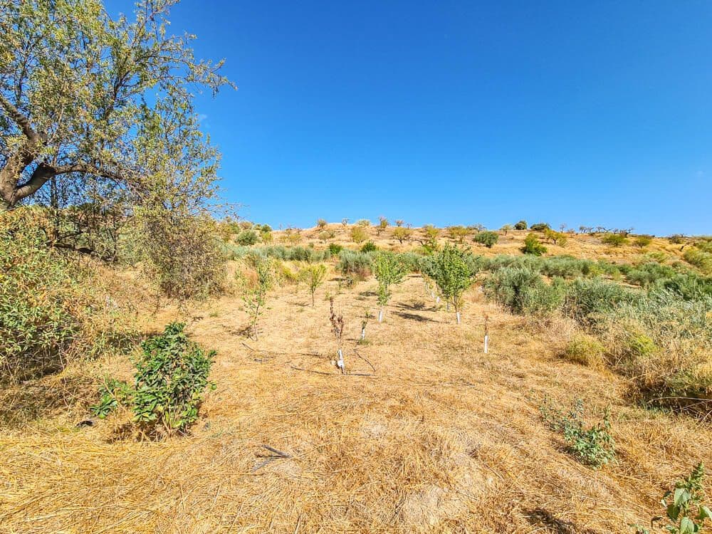 3 soveværelse Finca/Landehus til salg i Lubrin - € 325.000 (Ref: 9751951)