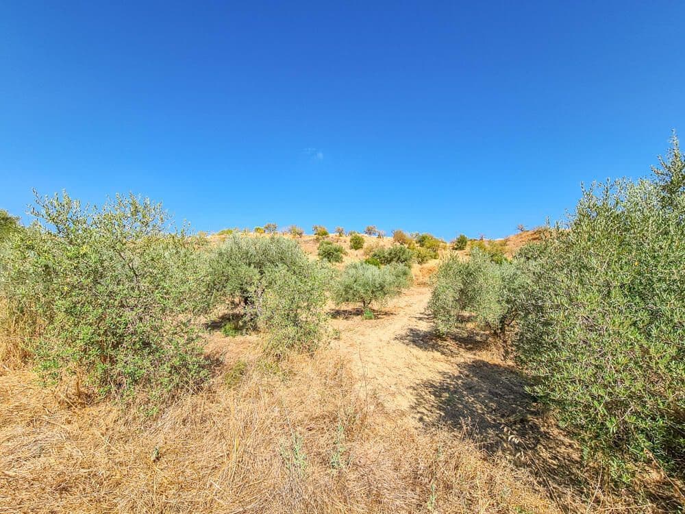 3 soveværelse Finca/Landehus til salg i Lubrin - € 325.000 (Ref: 9751951)