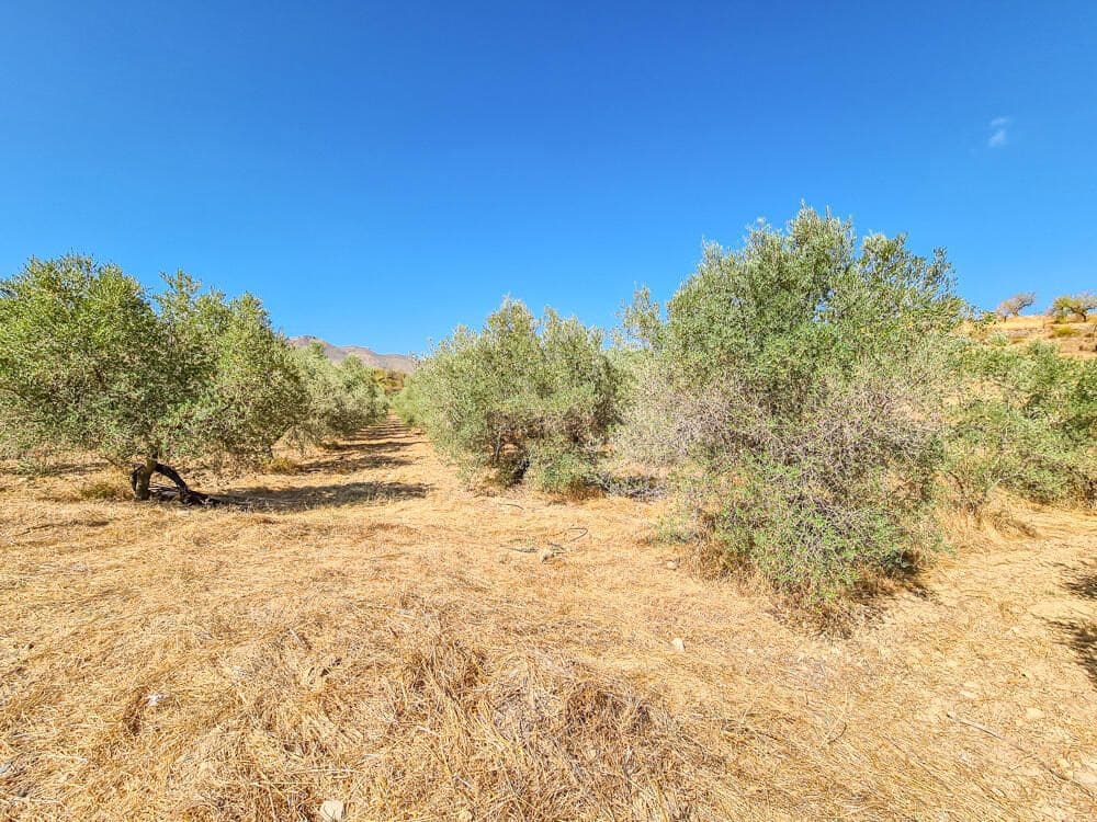 3 soveværelse Finca/Landehus til salg i Lubrin - € 325.000 (Ref: 9751951)